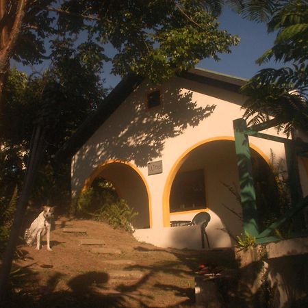 فيلا Lime Tree Farm, Blue Mountains Mavis Bank المظهر الخارجي الصورة