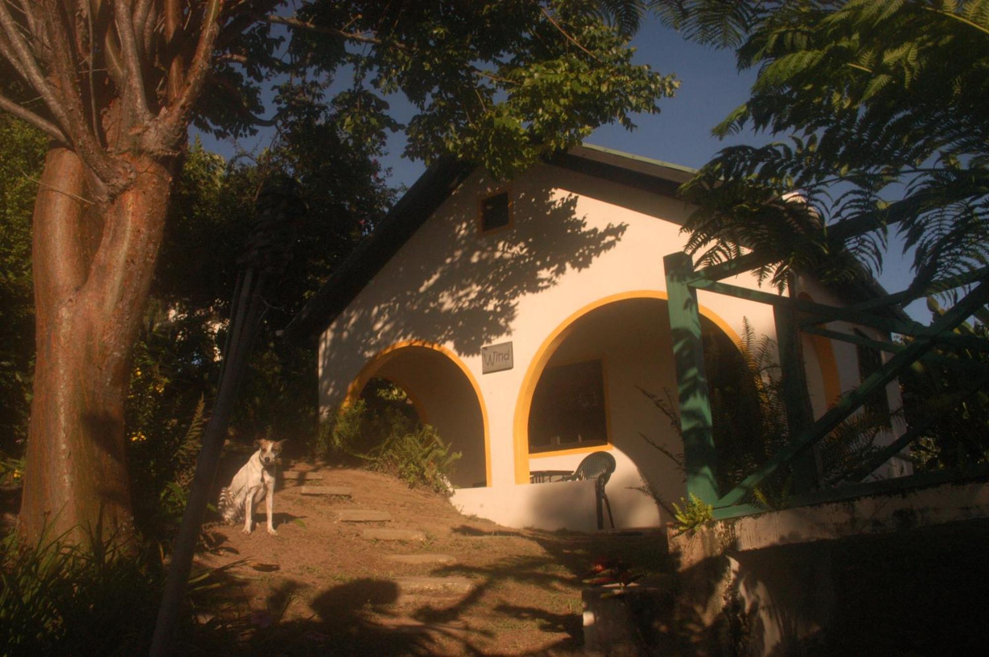 فيلا Lime Tree Farm, Blue Mountains Mavis Bank المظهر الخارجي الصورة