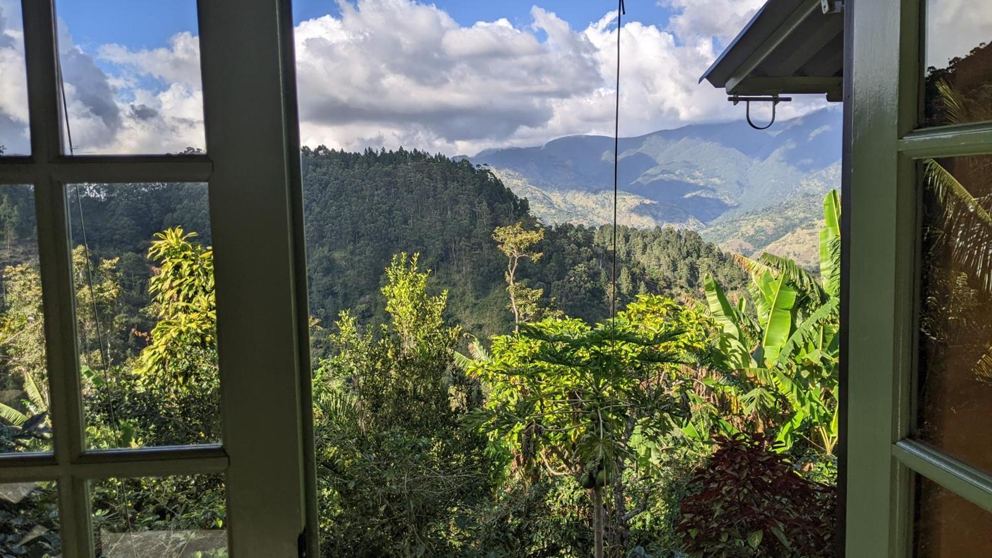 فيلا Lime Tree Farm, Blue Mountains Mavis Bank المظهر الخارجي الصورة