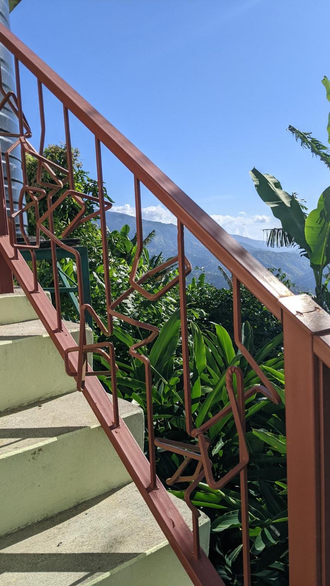 فيلا Lime Tree Farm, Blue Mountains Mavis Bank المظهر الخارجي الصورة