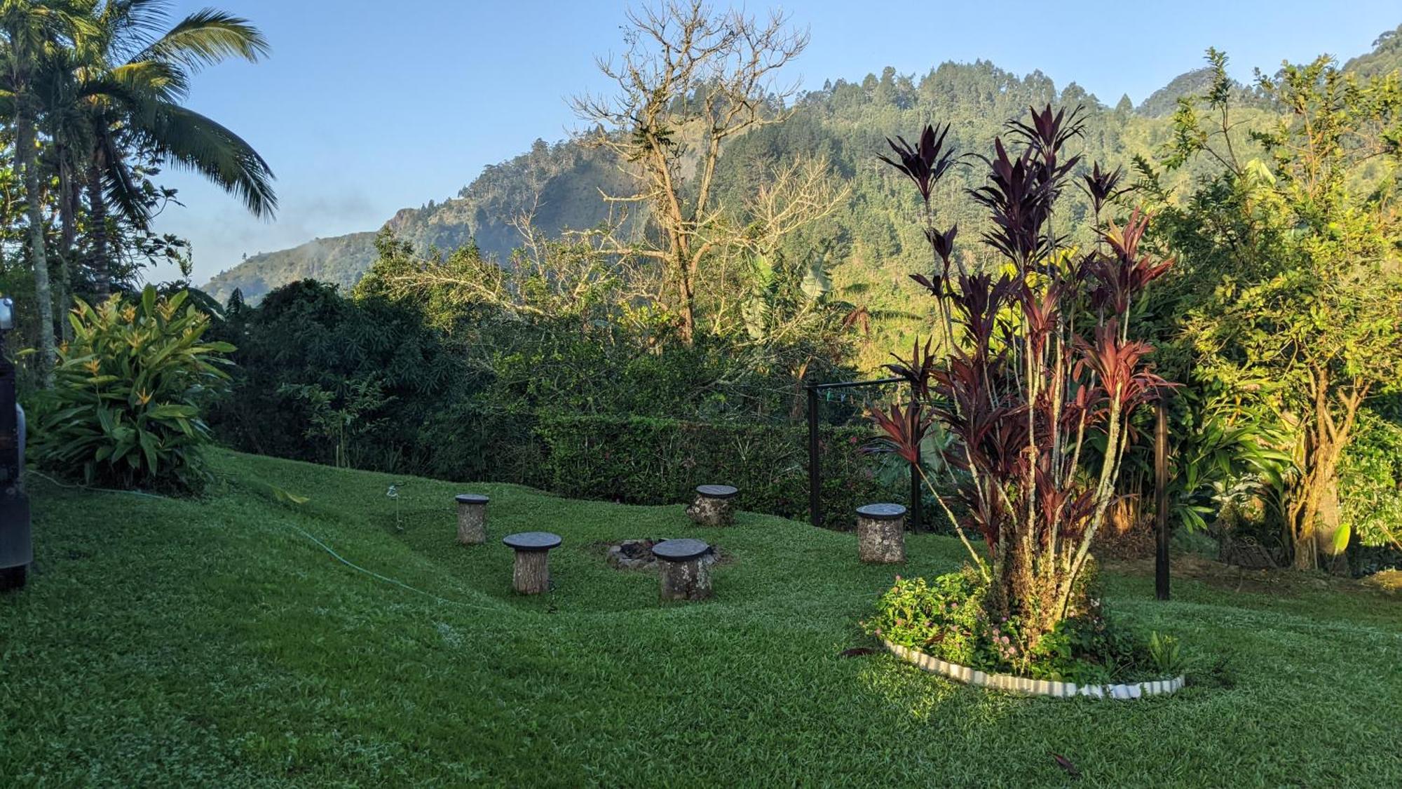 فيلا Lime Tree Farm, Blue Mountains Mavis Bank المظهر الخارجي الصورة