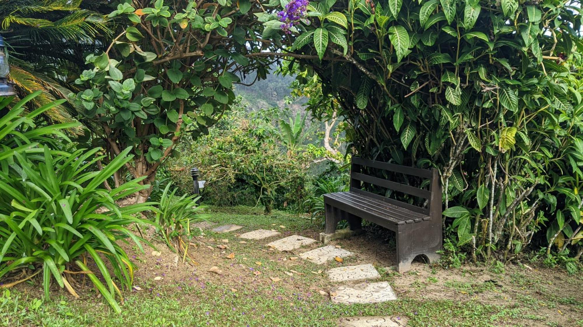 فيلا Lime Tree Farm, Blue Mountains Mavis Bank المظهر الخارجي الصورة