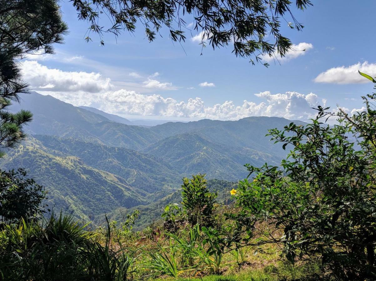 فيلا Lime Tree Farm, Blue Mountains Mavis Bank المظهر الخارجي الصورة